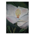 magnolia flower oil painting cards by dereklovessheila magnolia flower oil painting cards