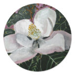 magnolia, magnolias, flower, flowers, floral,