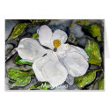 magnolia_flower_painting, Magnolia cards by dereklovessheila magnolia_flower_painting, Magnolia cards