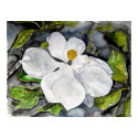 magnolia_flower_painting posters by dereklovessheila magnolia_flower_painting posters