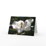 magnolia flower photography greeting card art
