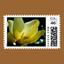Magnolia Flower stamps