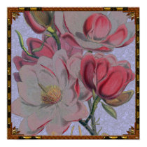 Magnolia Flower Poster posters