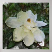 Magnolia Flower Poster
