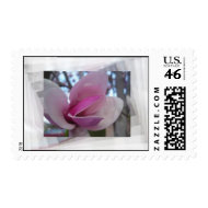 Magnolia Flower Stamps stamp