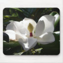 magnolia flower tree flowers photography mousepad by dereklovessheila magnolia flower tree flowers photography mousepad