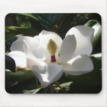 magnolia flower tree flowers photography mousepad by dereklovessheila magnolia flower tree flowers photography mousepad