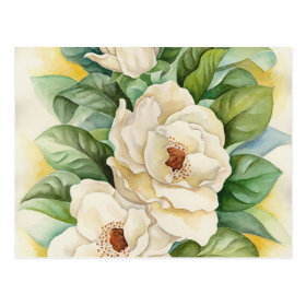 Magnolia Flower Watercolor Art - Multi Postcard
