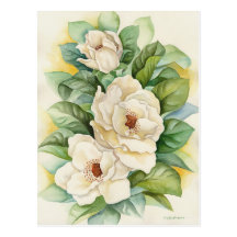 Magnolia Flower Watercolor Art - Multi Postcards