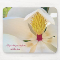 Magnolia grandiflora 'Little Gem' mousepads by FloridaSiren Magnolia grandiflora 'Little Gem' mousepads