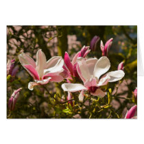 Magnolia Greeting Card