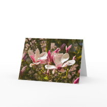 Magnolia Greeting Card
