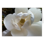 Magnolia Greeting Card