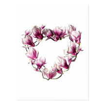 Magnolia Heart Post Cards
