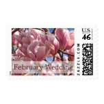 Magnolia in Bloom • February Wedding Stamp