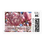 Magnolia in Bloom • March Wedding Stamp