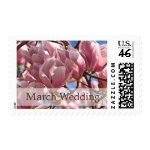 Magnolia in Bloom • March Wedding Stamp stamp
