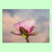Magnolia In Sky Card