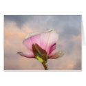 Magnolia In Sky Card by sexycher Magnolia In Sky Card