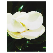 Magnolia letterhead