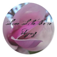 Magnolia, Live Like We're Dying Sticker sticker