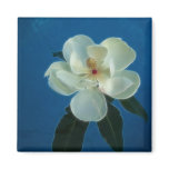 Magnolia Refrigerator Magnets