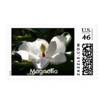 magnolia , Magnolias flowers postage stamps photo by dereklovessheila magnolia , Magnolias flowers postage stamps photo