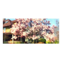 Magnolia Near Green House Rack Card Design