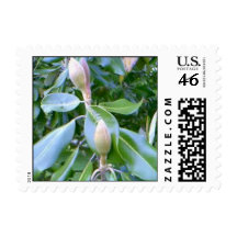 Magnolia Offsprings Stamps