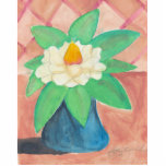 magnolia photo cutout