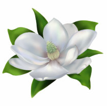 Magnolia photo sculptures