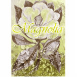 Magnolia Acrylic Cut Outs