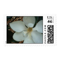 magnolia postage stamp