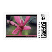 magnolia postage by MissesKisses magnolia postage