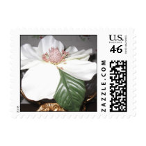 Magnolia Postage