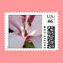 Magnolia stamps