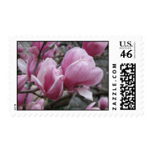 Magnolia Postage Stamp