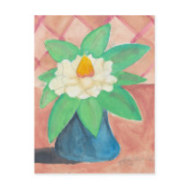 magnolia postcards
