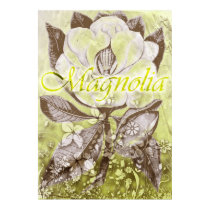Magnolia posters