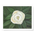 Magnolia print by artpals Magnolia print