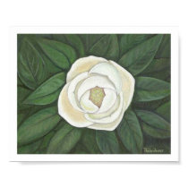 Magnolia print by artpals Magnolia print
