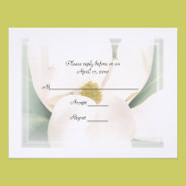 Magnolia R.S.V.P Wedding Invitations invitations