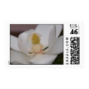 Magnolia Rain Macro postage