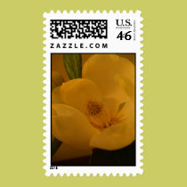"Magnolia Sateen" Postage stamps