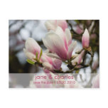 dsc1545, magnolia, tree, blossom, bloom, wedding,