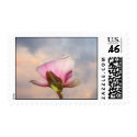 Magnolia Sky Stamp by sexycher Magnolia Sky Stamp
