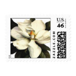 Magnolia - Stamp