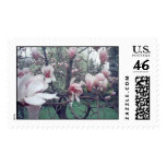 Magnolia Stamp
