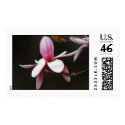 Magnolia Stamp