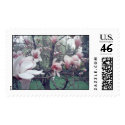 Magnolia Stamp by skywatcher Magnolia Stamp